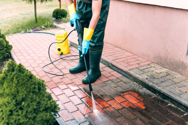 Best Gutter Cleaning  in Montrose, MN