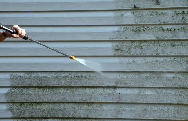 Best Sidewalk and Walkway Cleaning  in Montrose, MN