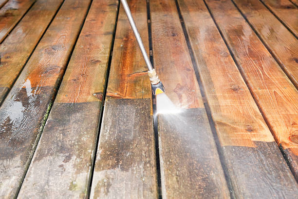 Best Restaurant Pressure Washing  in Montrose, MN
